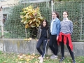SONY DSC