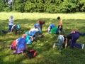 IMG_20160622_091743