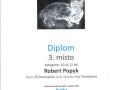 popyk_240624120127_0001