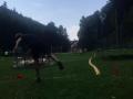 IMG-20210726-WA0165