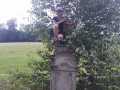 IMG-20210726-WA0249