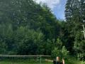 IMG-20210727-WA0145