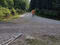 IMG-20210727-WA0171