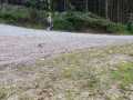 IMG-20210727-WA0172