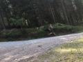 IMG-20210727-WA0206