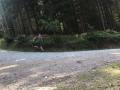 IMG-20210727-WA0207