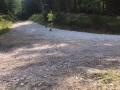 IMG-20210727-WA0247