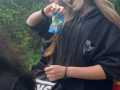 IMG-20210728-WA0011