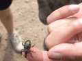 IMG-20210728-WA0017
