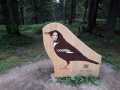 IMG-20210728-WA0032