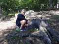 IMG-20210730-WA0150