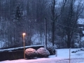 0de03610-e5f3-41d4-981b-44fcc9090cc5