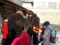 20191203_103831