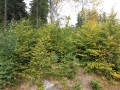 20190924_142603