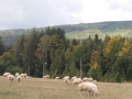 20190926_135951