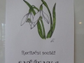 P1000206