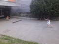 20190619_191025