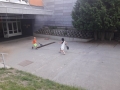 20190619_191028