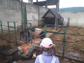 20190523_141458