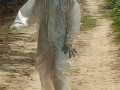 IMG-20220524-WA0019