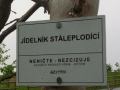 image000006